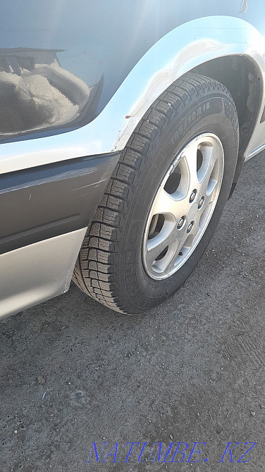    year Ridder - photo 6