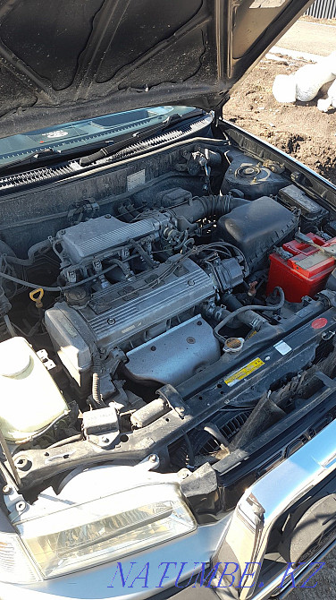    year Ridder - photo 3