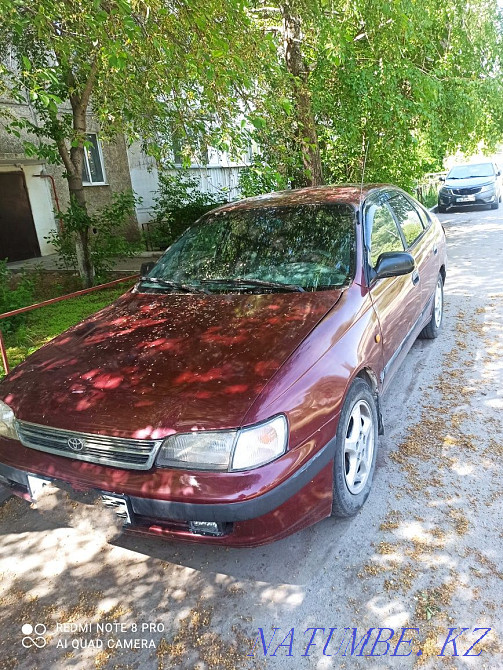    year Боралдай - photo 3