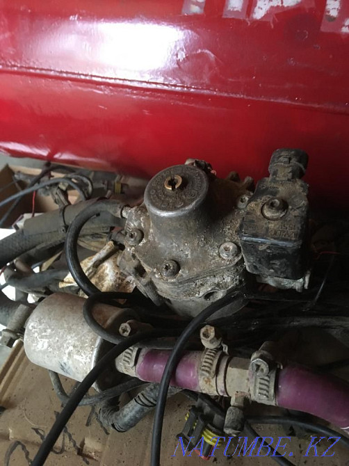    жыл  кенді - изображение 6