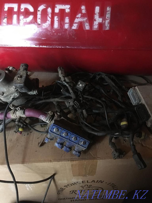    жыл  кенді - изображение 7