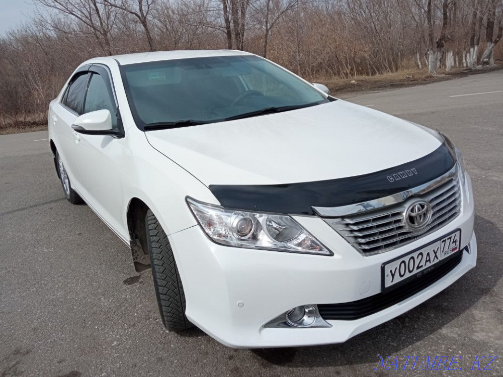    year Kostanay - photo 3