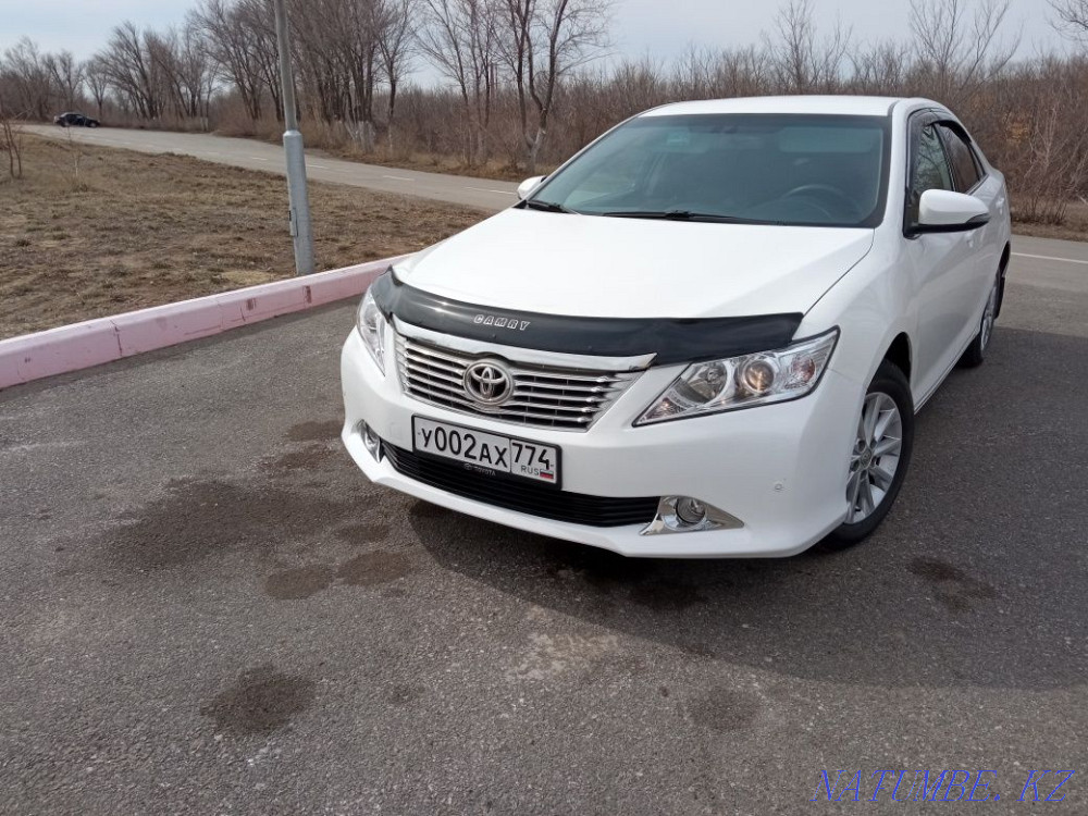    year Kostanay - photo 2