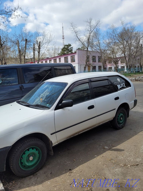    year Муткенова - photo 2