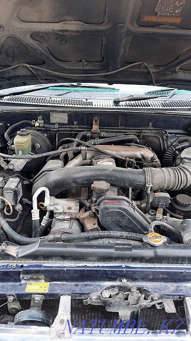    year Semey - photo 6