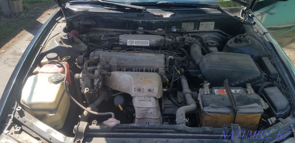    года Ескельди би - изображение 5