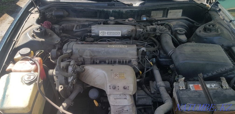    года Ескельди би - изображение 6