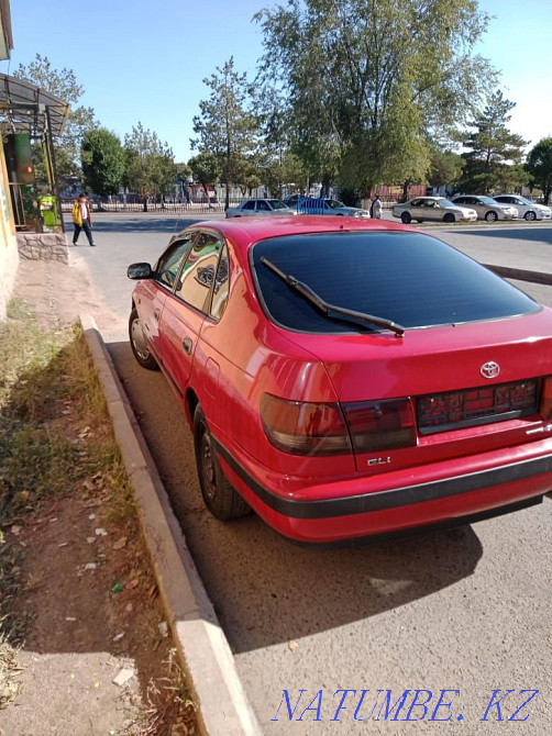    year Kapshagay - photo 1