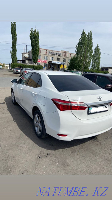    year Semey - photo 2