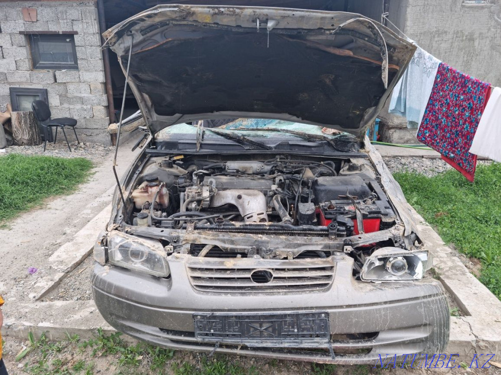    жыл  Талдықорған - изображение 4