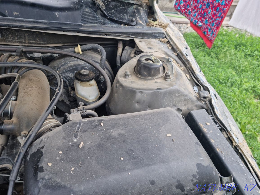    жыл  Талдықорған - изображение 2