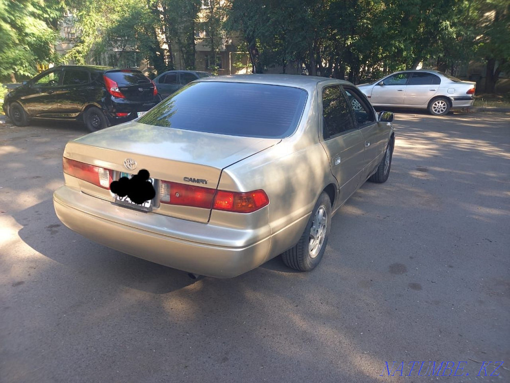    year Алгабас - photo 7