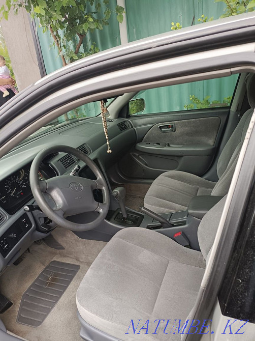    year Almaty - photo 4