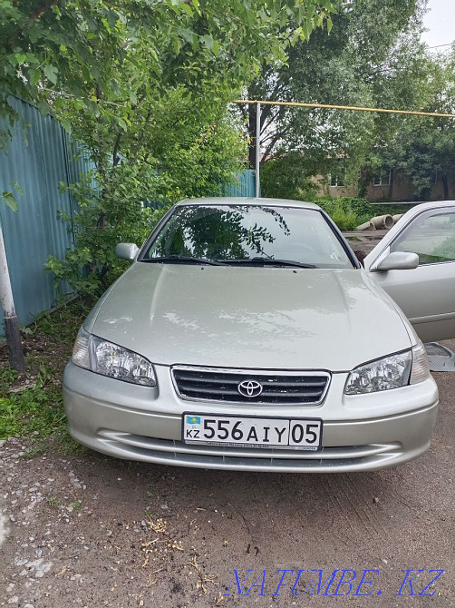    year Almaty - photo 1