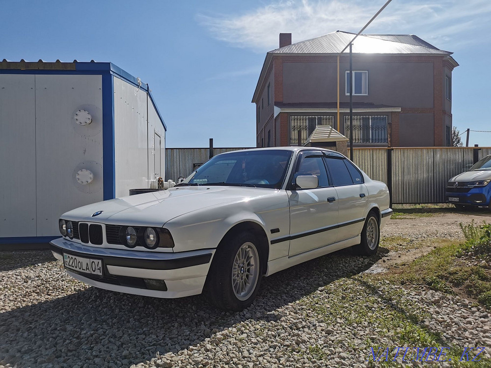    жыл Нура - изображение 6