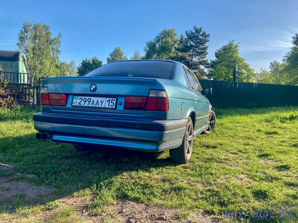    года Петропавловск - изображение 4