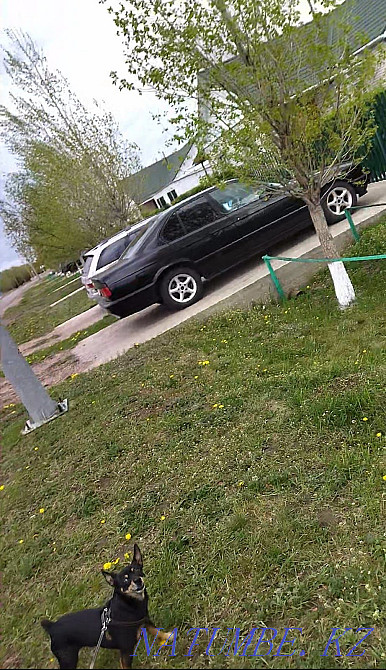    жыл  - изображение 8