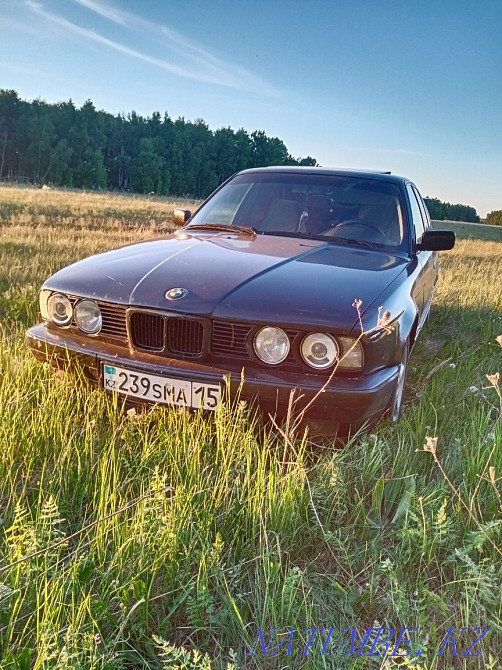    жыл  - изображение 3