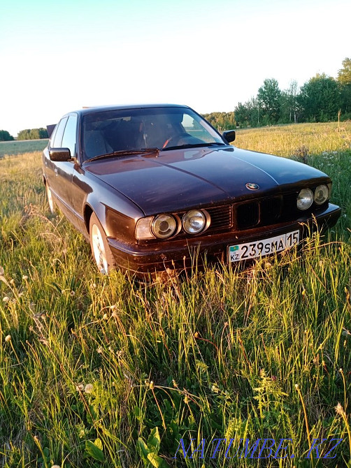    жыл  - изображение 2