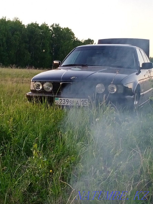    жыл  - изображение 4