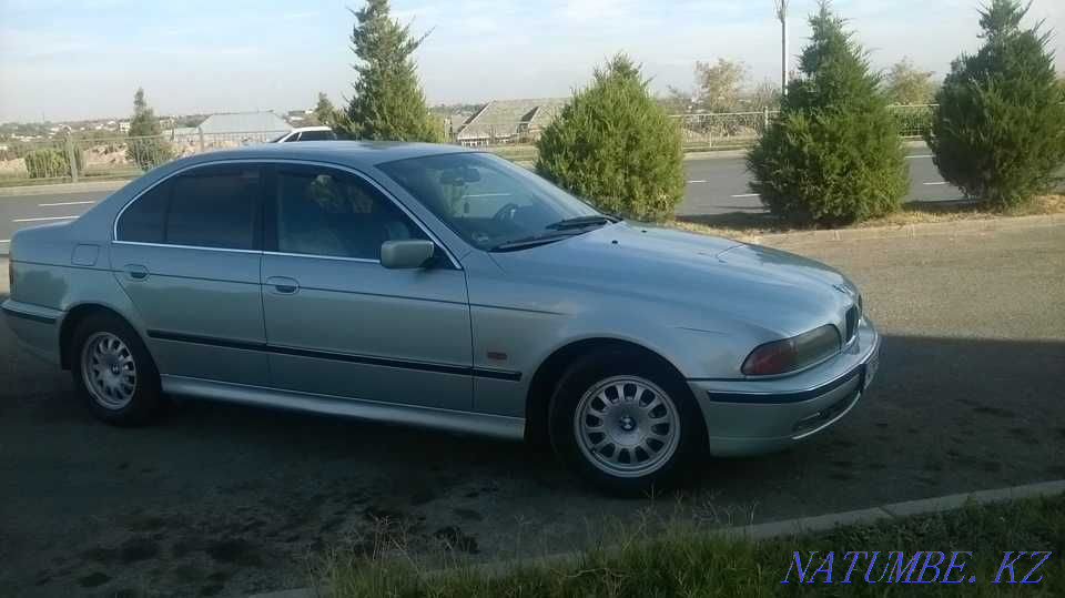    year Petropavlovsk - photo 5