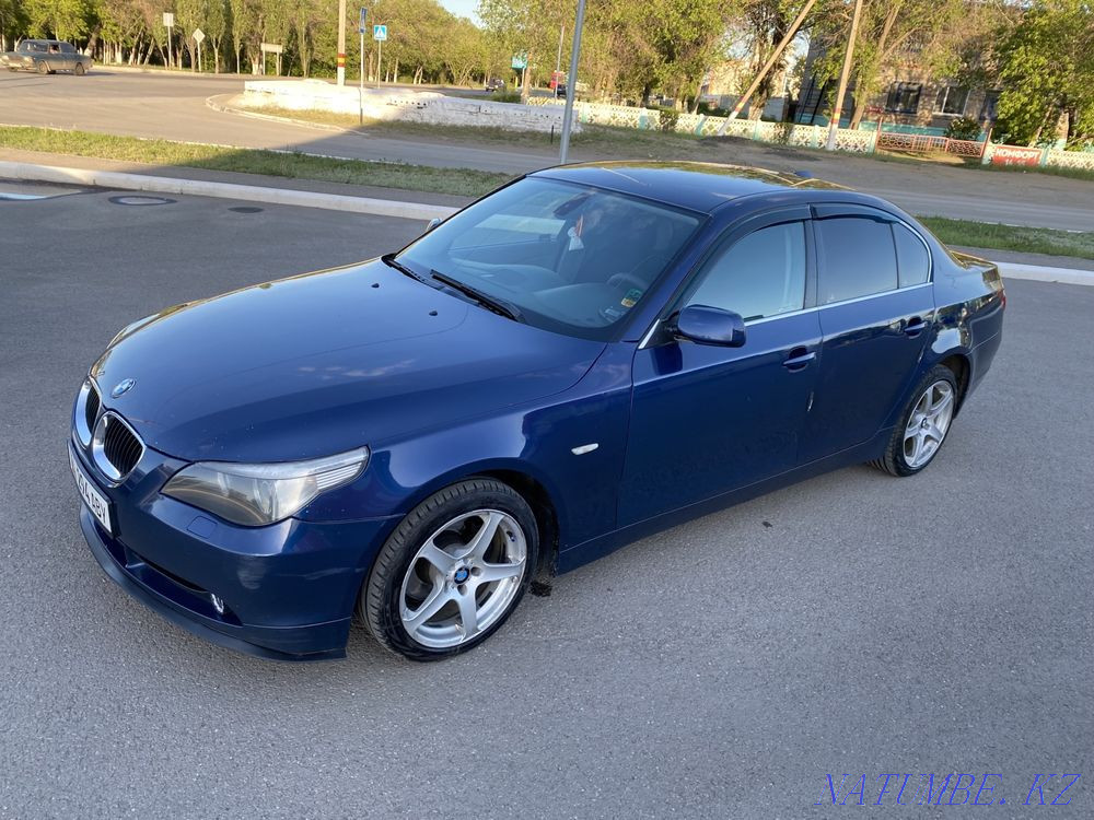    year Rudnyy - photo 5