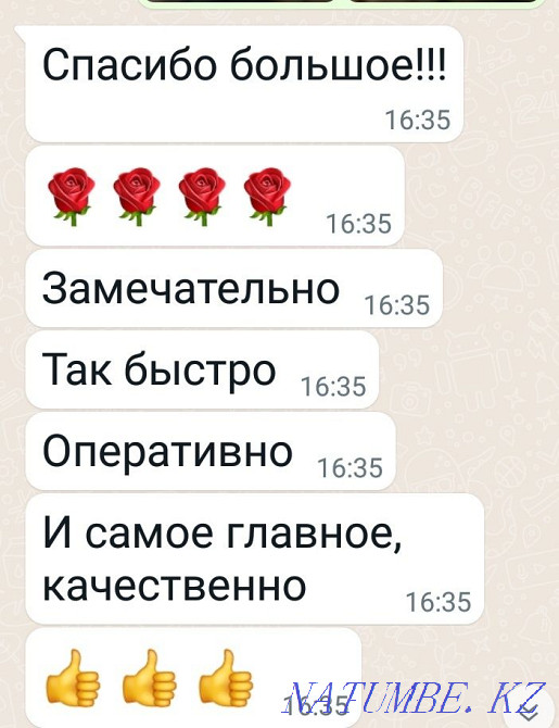    year Almaty - photo 5