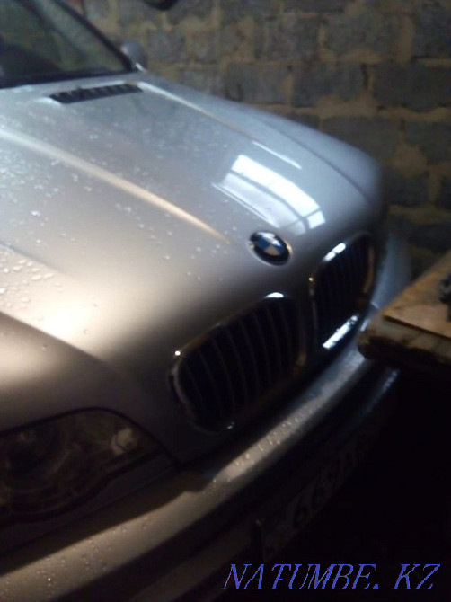    year Rudnyy - photo 3