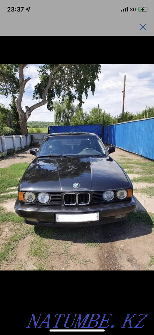    year Pavlodar - photo 9