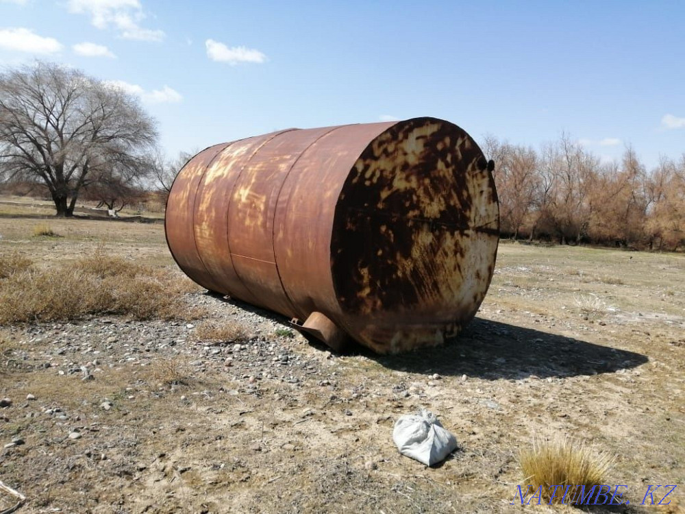    year Almaty - photo 6