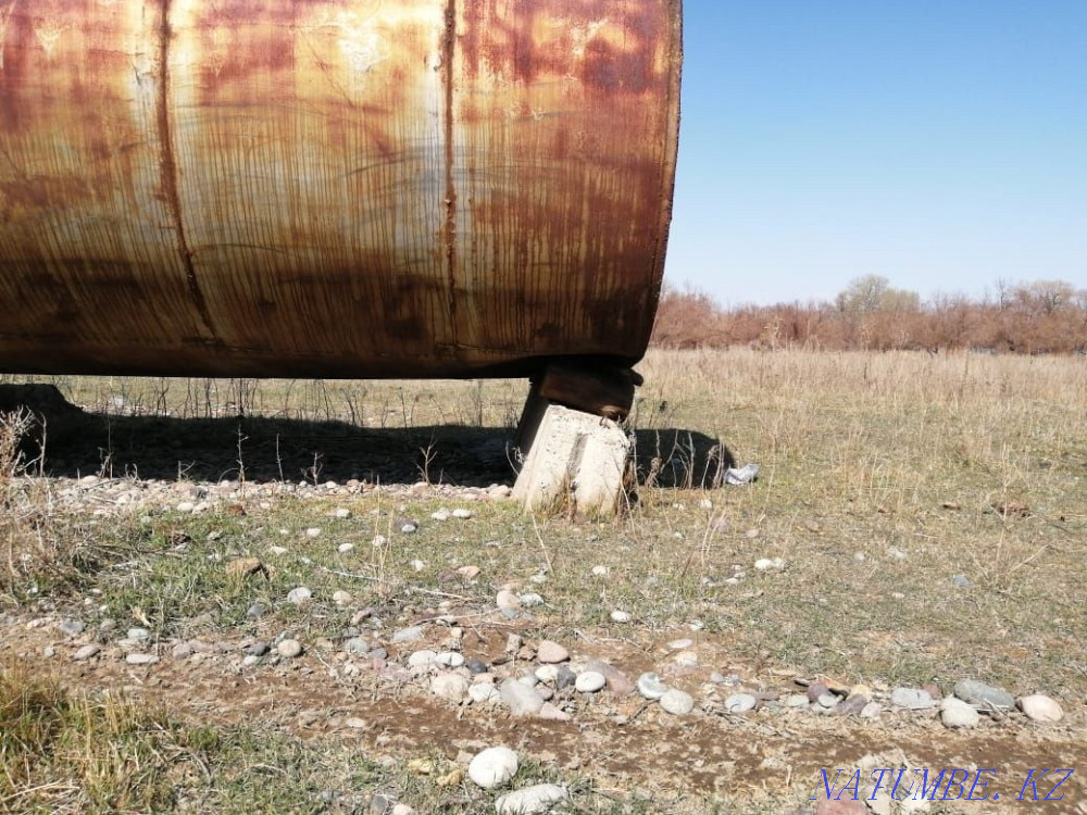    year Almaty - photo 5