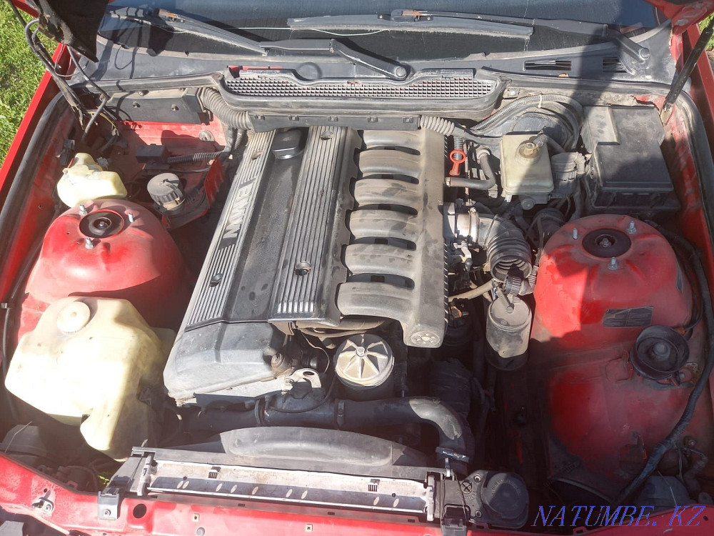    year Туздыбастау - photo 6