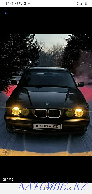    year Ridder - photo 8