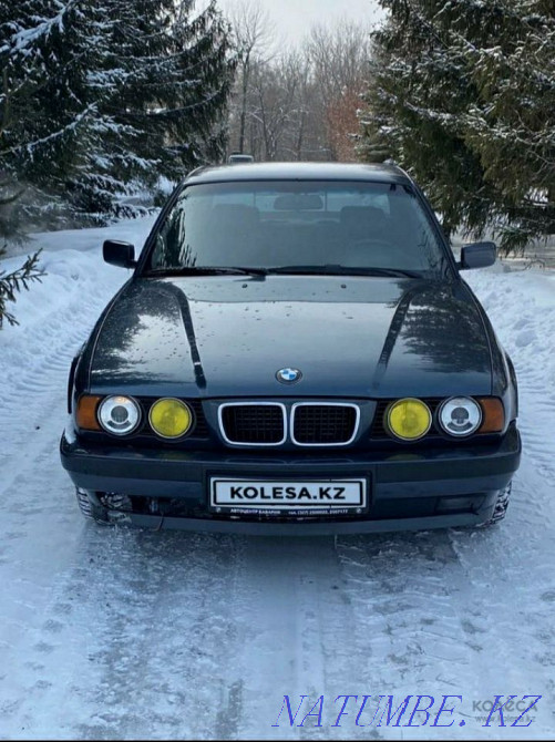    year Ridder - photo 1