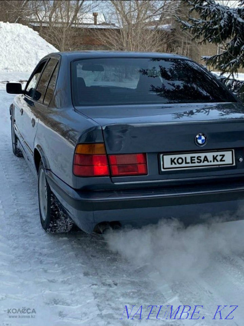    year Ridder - photo 6