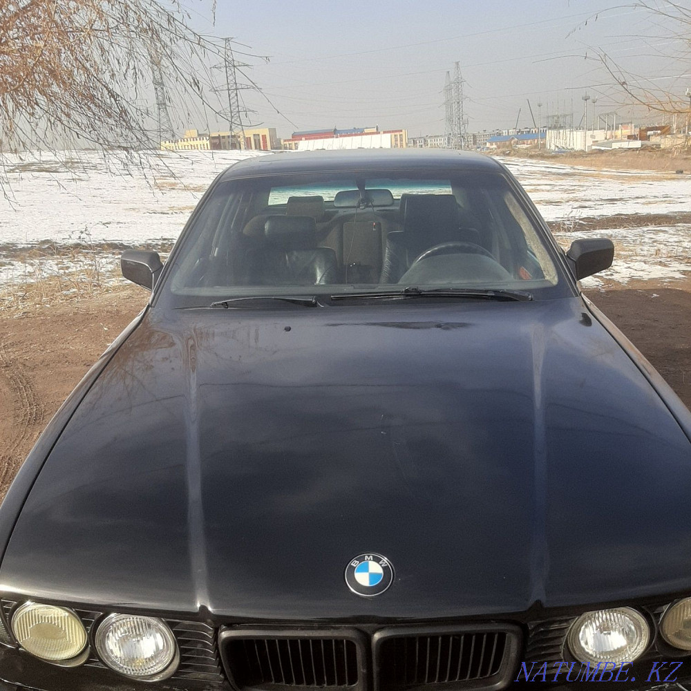    year Almaty - photo 3