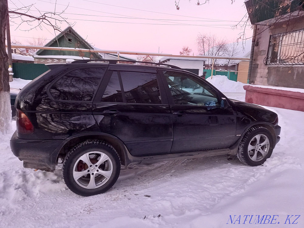    year Rudnyy - photo 3