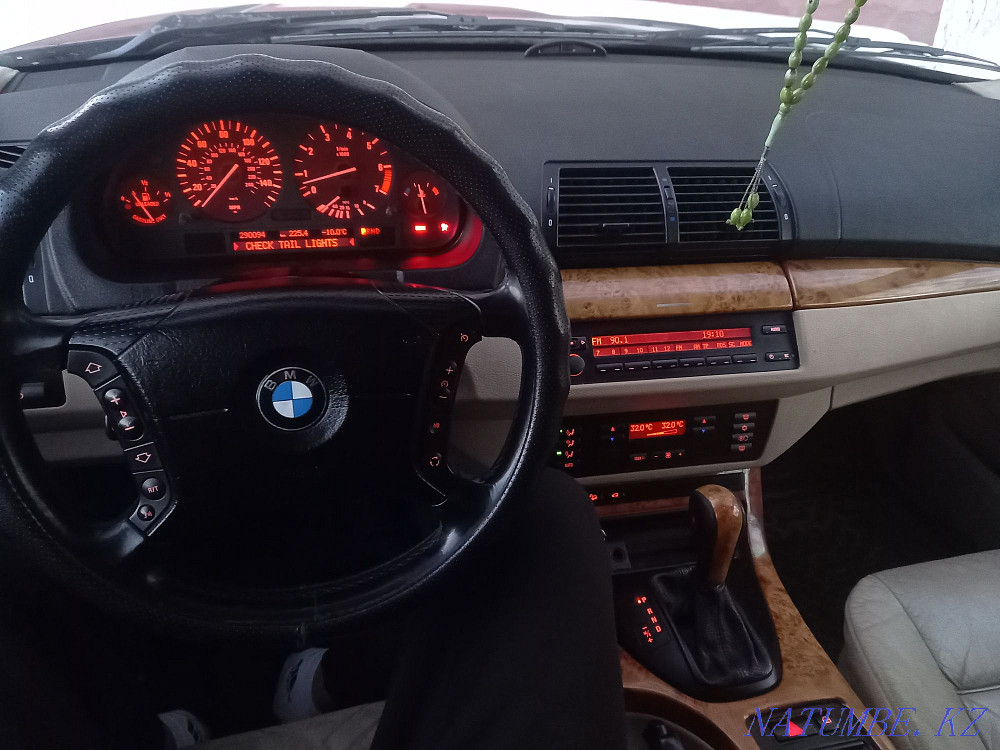    year Rudnyy - photo 6