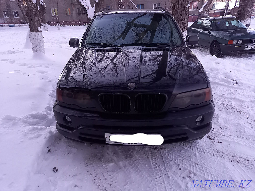    year Rudnyy - photo 1