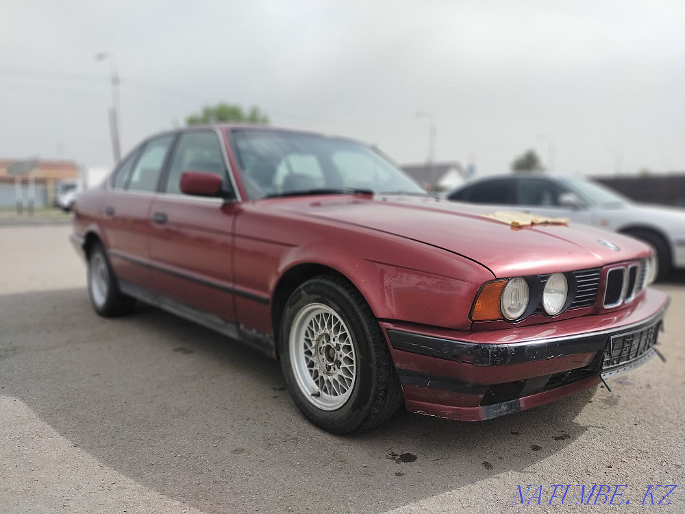    year Rudnyy - photo 5