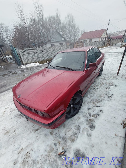    жыл  - изображение 1