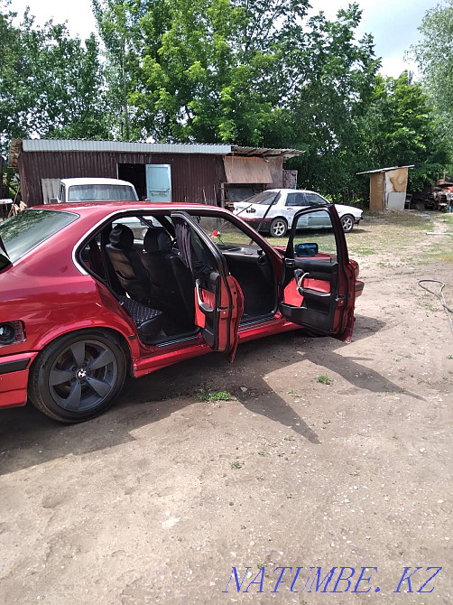    жыл  - изображение 7