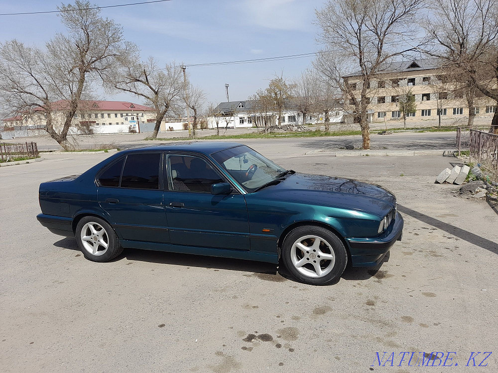    года Болтирик шешен - изображение 5