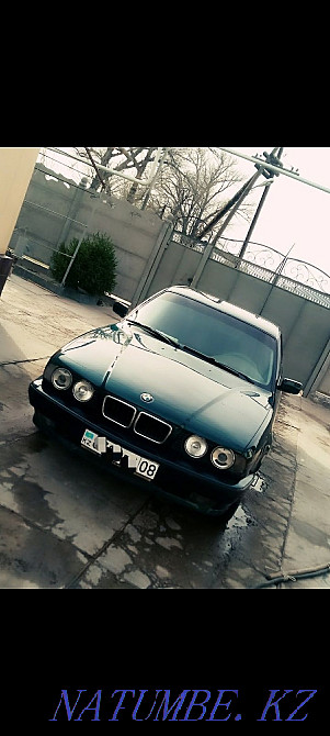    года Болтирик шешен - изображение 3