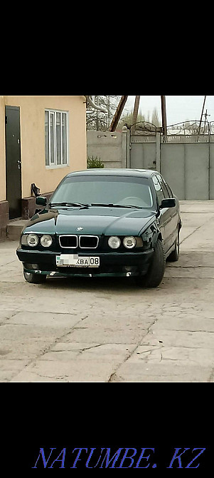    года Болтирик шешен - изображение 4