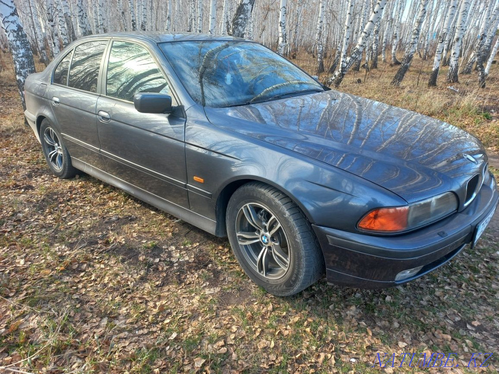    year Petropavlovsk - photo 2