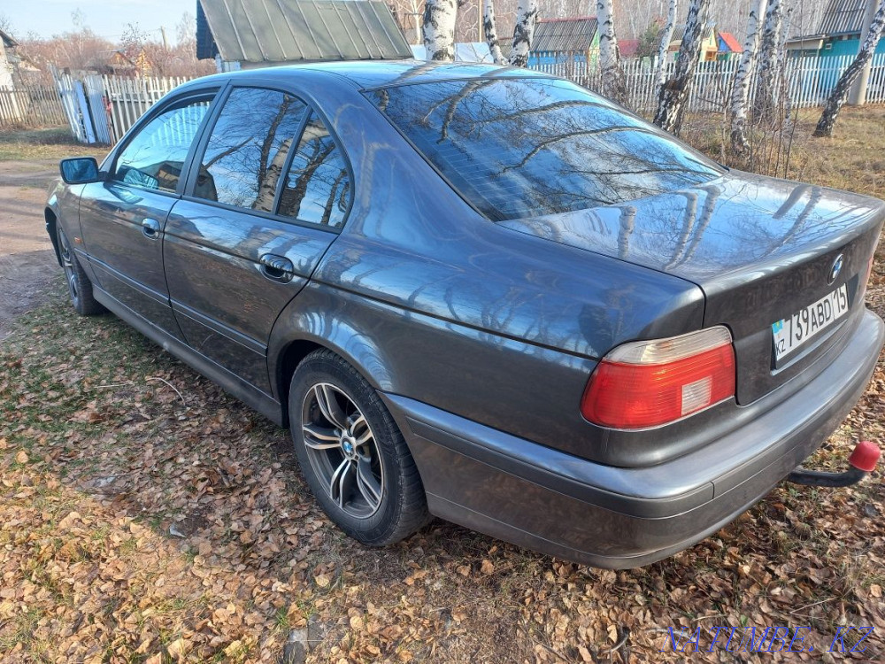    year Petropavlovsk - photo 4