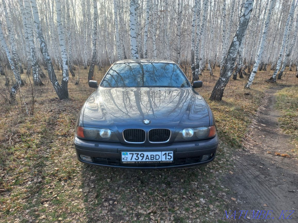    year Petropavlovsk - photo 3