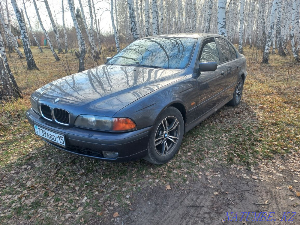    year Petropavlovsk - photo 1