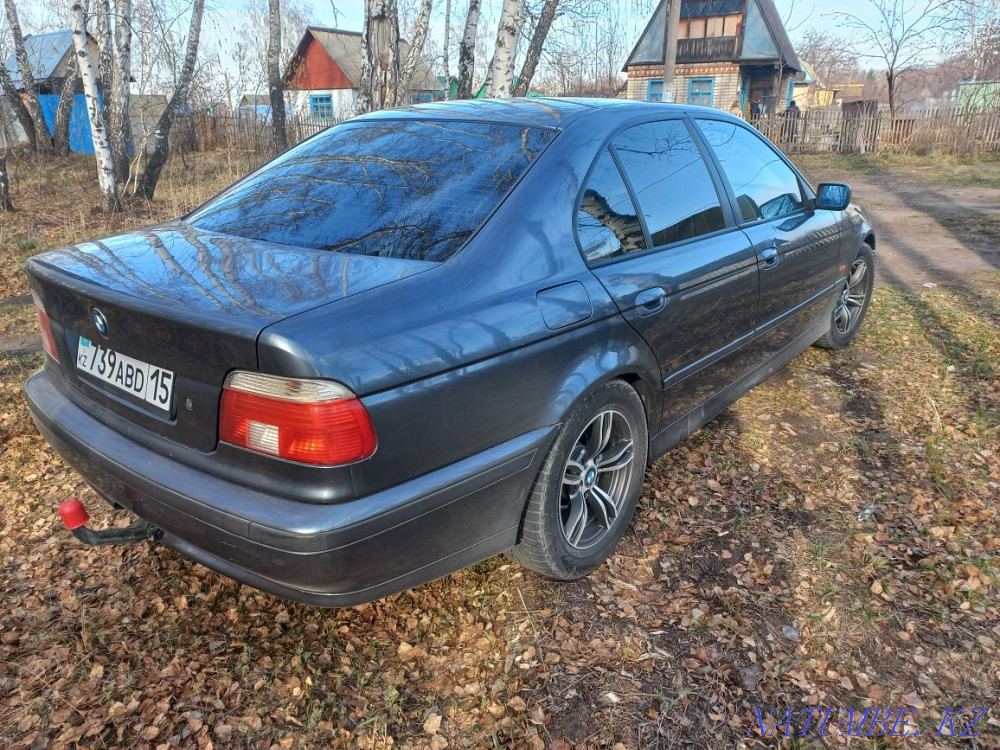    year Petropavlovsk - photo 5